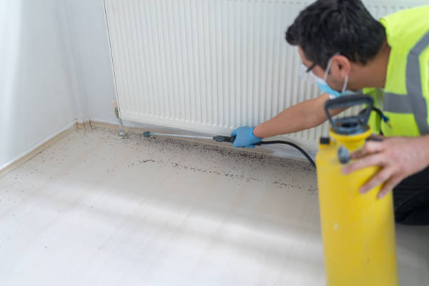 Best Pest Control Near Me  in Parlier, CA