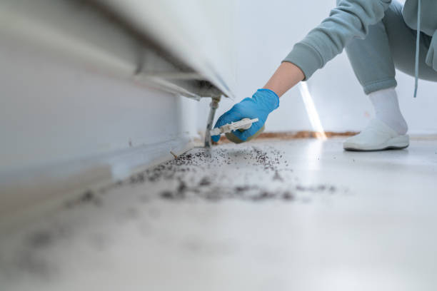 Best Pest Control for Homes  in Parlier, CA